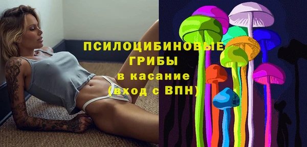 ПСИЛОЦИБИНОВЫЕ ГРИБЫ Алзамай