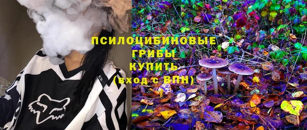 ПСИЛОЦИБИНОВЫЕ ГРИБЫ Алзамай