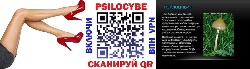 Псилоцибиновые грибы Psilocybine cubensis Палласовка