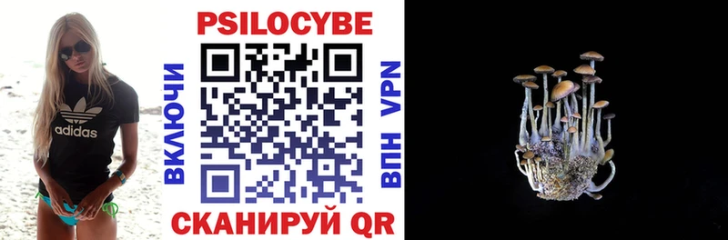 даркнет сайт  Палласовка  Псилоцибиновые грибы Psilocybine cubensis 